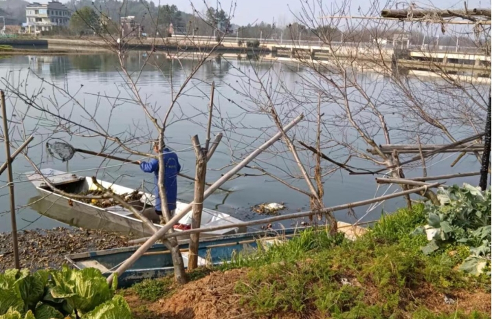 双清区河长办：强化河道保洁 守护碧水清流(图1)