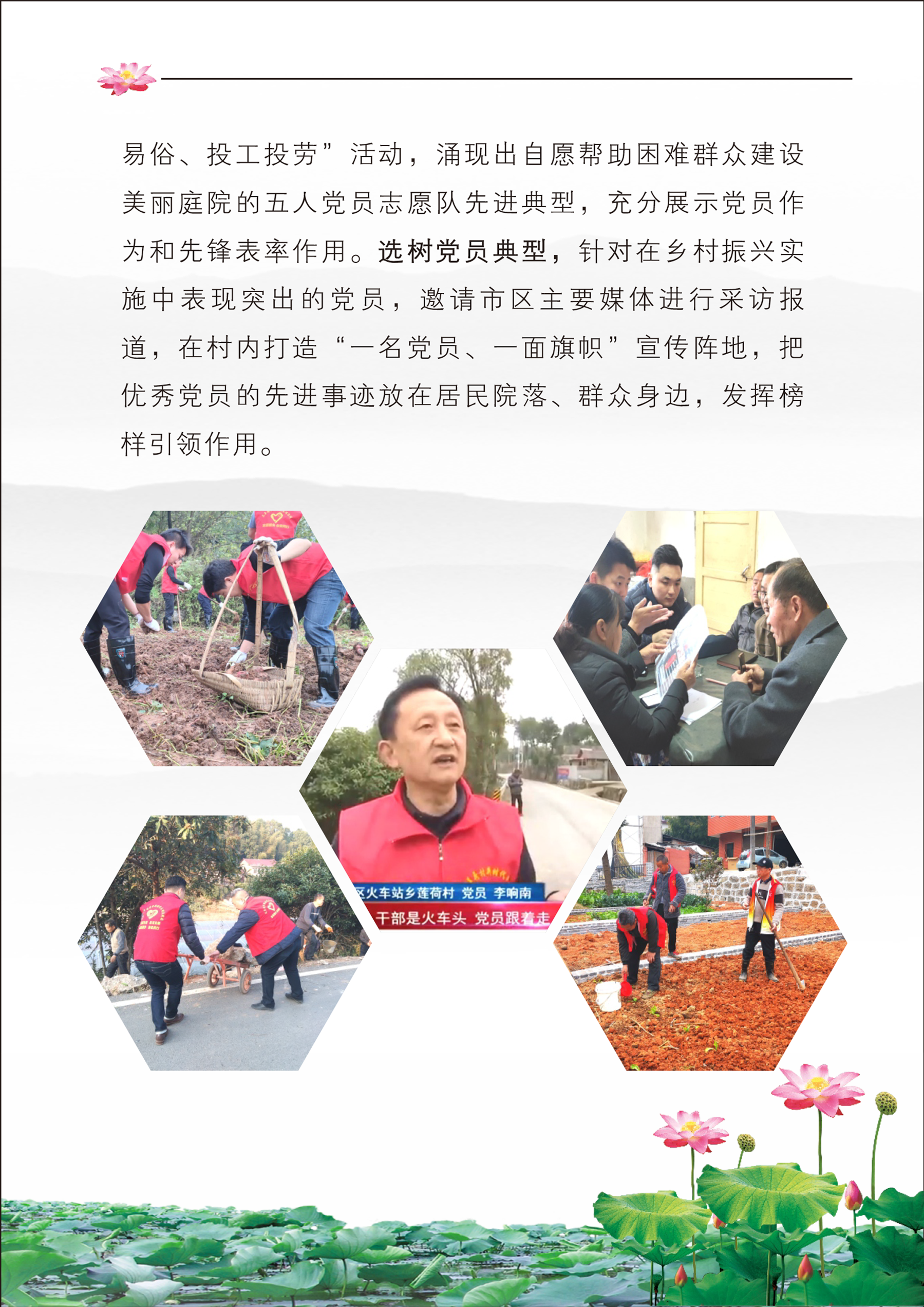 乡村振兴，莲荷蝶变-7.png