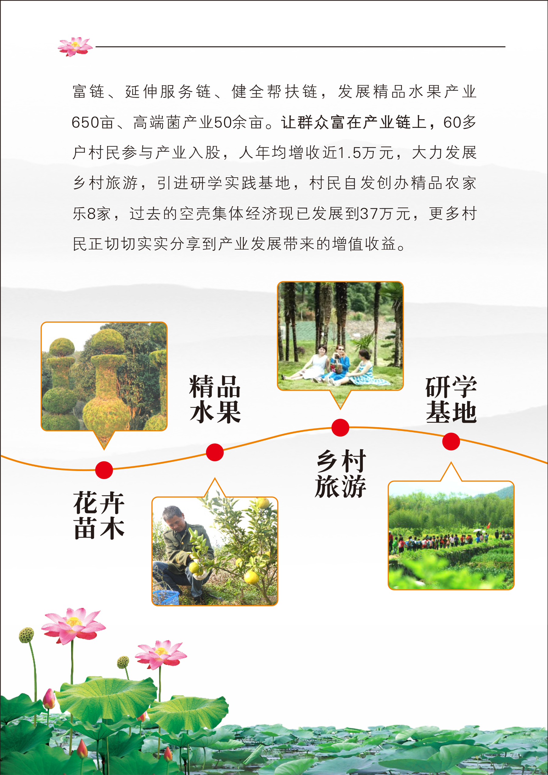 乡村振兴，莲荷蝶变-13.png