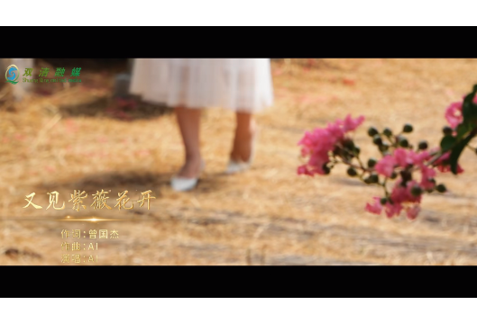 双清区原创MV《又见紫薇花开》