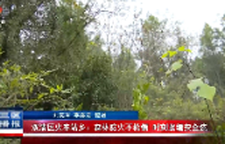 双清区火车站乡：森林防火不松懈 时刻紧绷安全弦