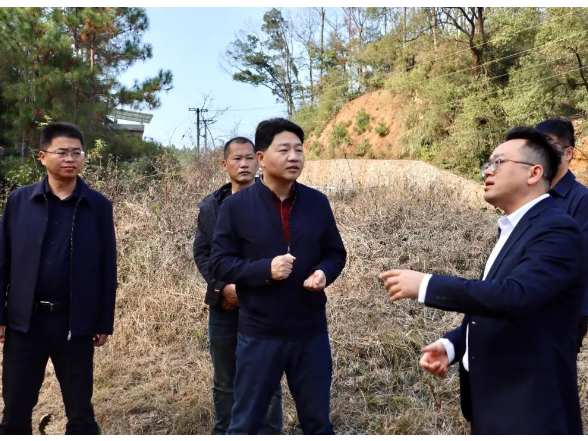 区委书记江韬带队开展巡林并调研乡村振兴工作