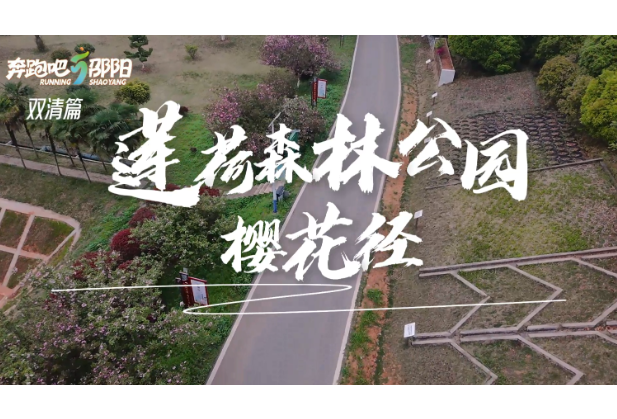 奔跑吧！邵阳——双清篇丨 莲荷森林公园·樱花径