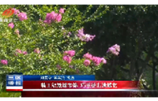 精工织就城市锦 巧手绣出满城花