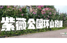 奔跑吧，邵阳！双清踏歌 | 紫薇公园环山跑道等您来跑！