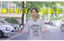 防蚊灭蚊勤行动，蚊媒传染疾病不“登”门