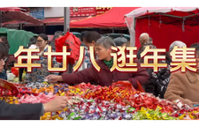 廿二八，逛年集