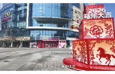 双清马年潮玩记