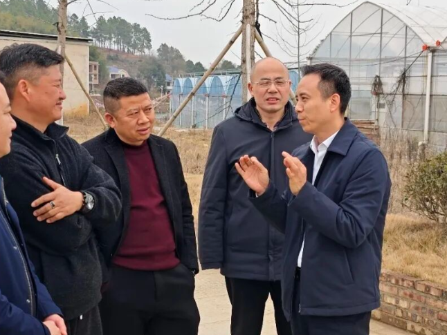 胡书伟调研渡头桥镇：深化农旅融合 绘就乡村振兴新画卷