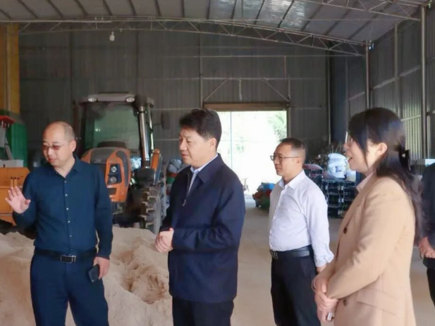 区委书记江韬调研春耕备耕工作并开展巡林巡河