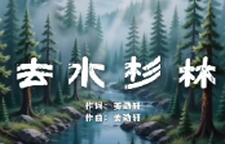 原创MV《去水杉林》｜这首歌里，有双清水杉林最美的样子