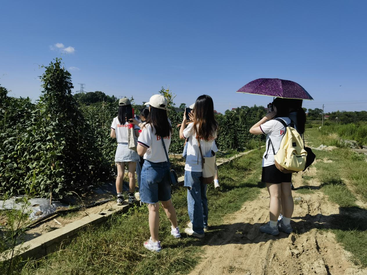 中南林业科技大学各民族学子来邵开展“三下乡”社会实践活动(图1)