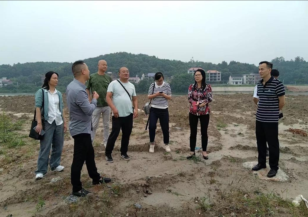 区领导督导2024年市总河长会曝光问题整改工作(图1)
