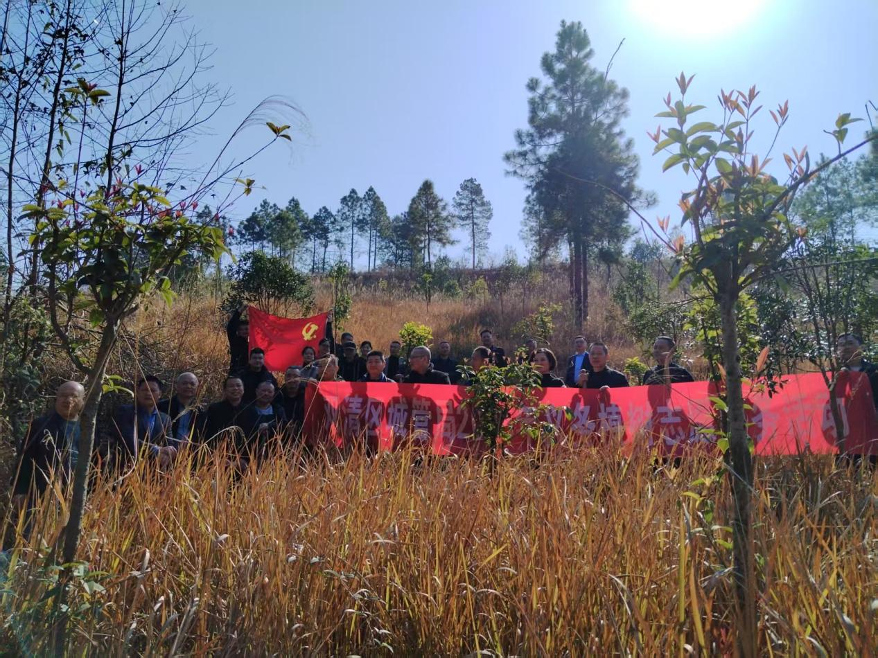  双清区城管局开展“为乡村添绿，为党旗增辉”植树活动