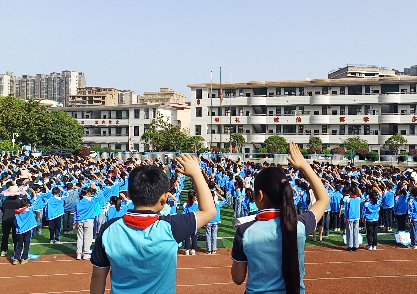 华竹1.jpg