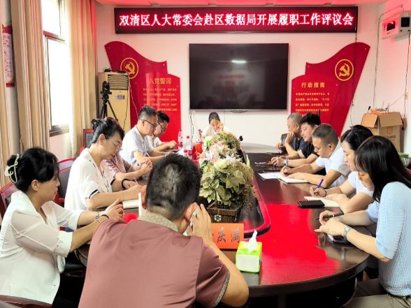 以评促改 以督促建 | 双清区人大履职评议赋能数字政府新发展