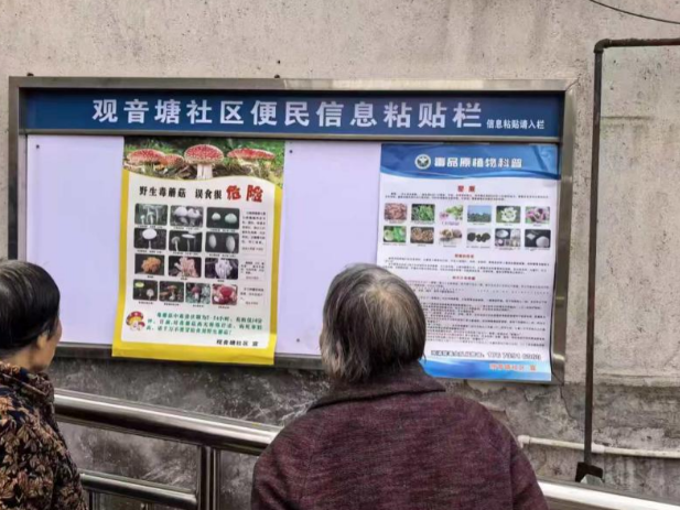 观音塘社区：党旗领航志愿行 居民自治暖民心