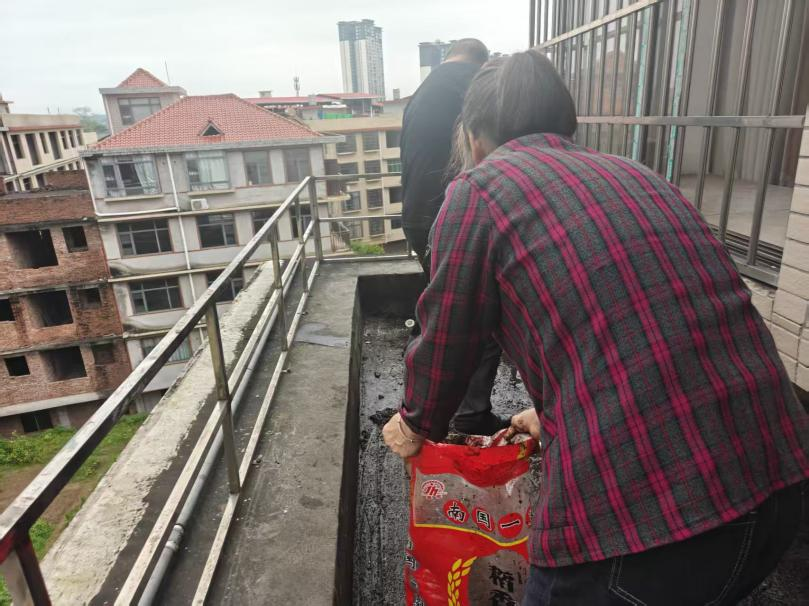 图片1.png 图片1.png