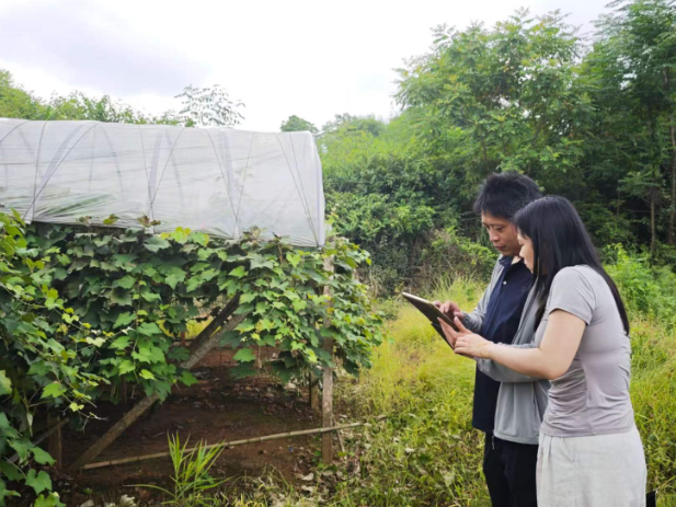 科技赋能精准普查，实地核查护航“三农”——双清区统计局联合农业农村局开展农业普查存疑地块现场核实