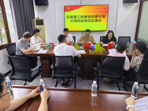 区委第三巡察组向区审计局党委（党组）反馈巡察情况