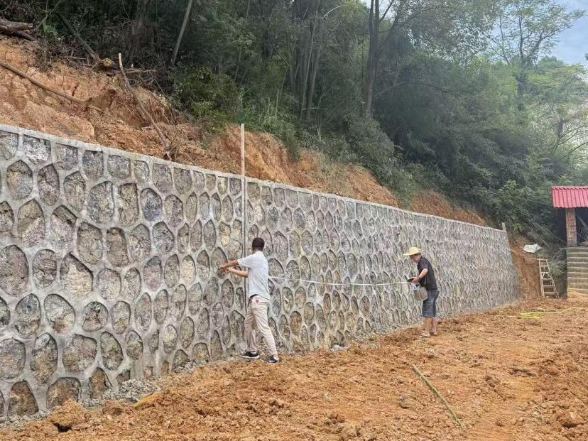 闭环治理除坡险 为民守好安居梦——双清区自然资源局全链条推进切坡建房地质灾害隐患整治