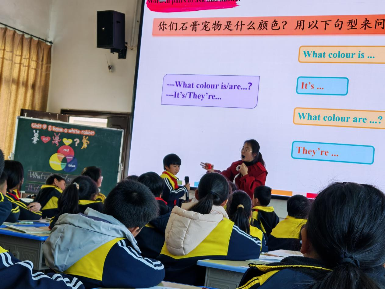 图片1.png 图片1.png