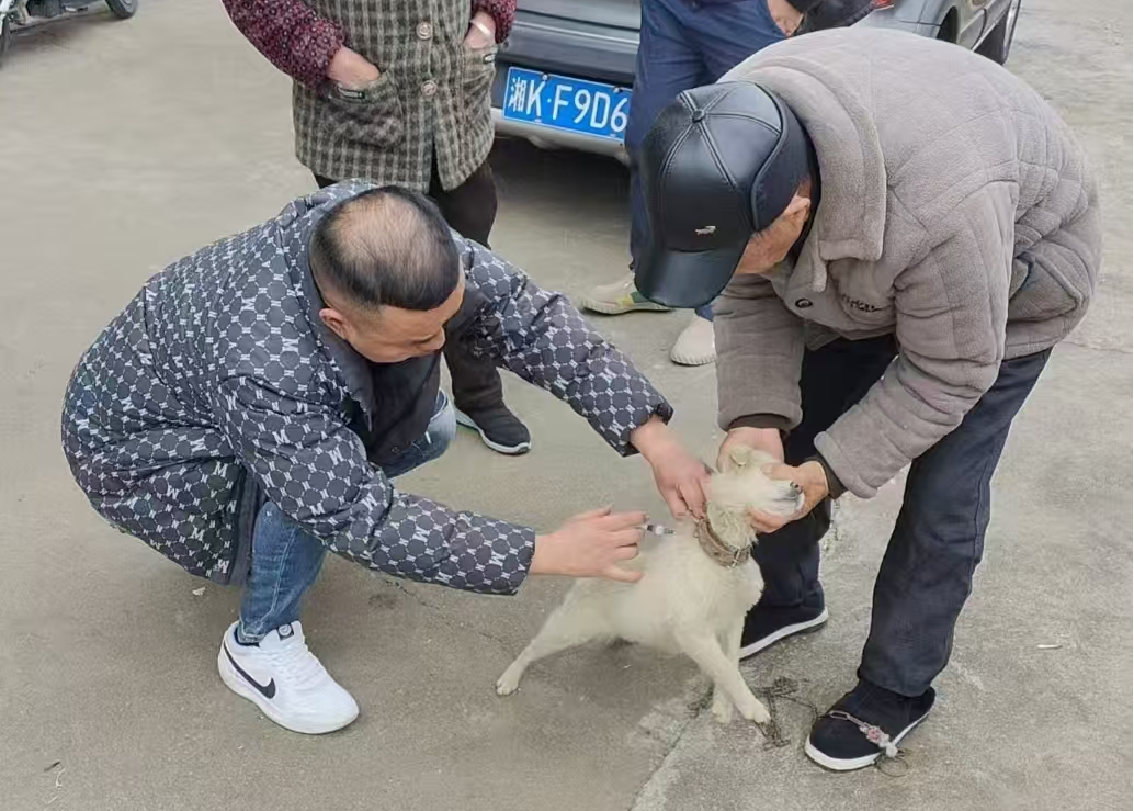 图片3.png 图片3.png