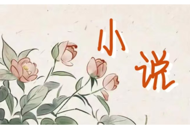 邵阳的夜景好美呀（小小说）