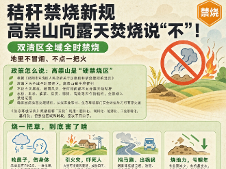 稻香取代焦味！双清区高崇山镇“四笔账”算清秸秆禁烧，守护蓝天净土