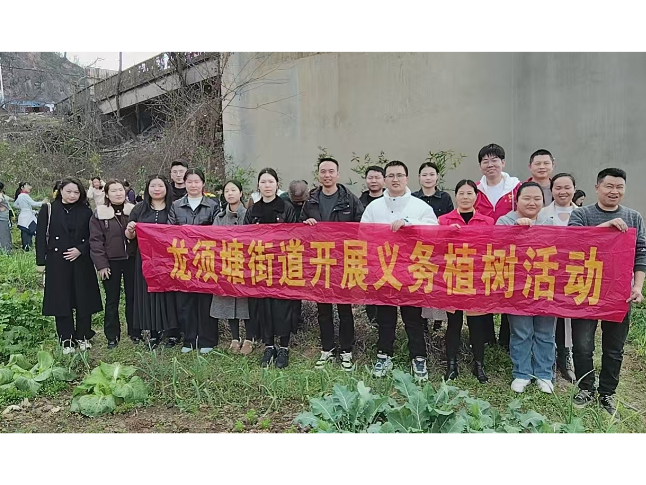 春风添新绿 植树正当时——龙须塘街道开展3·12义务植树活动