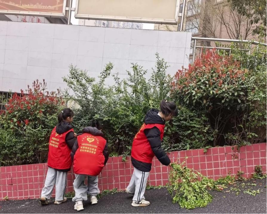 图片4.png 图片4.png