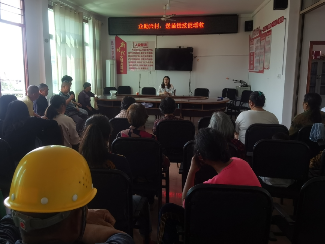 双清：“万企兴万村”  送苗授技助振兴