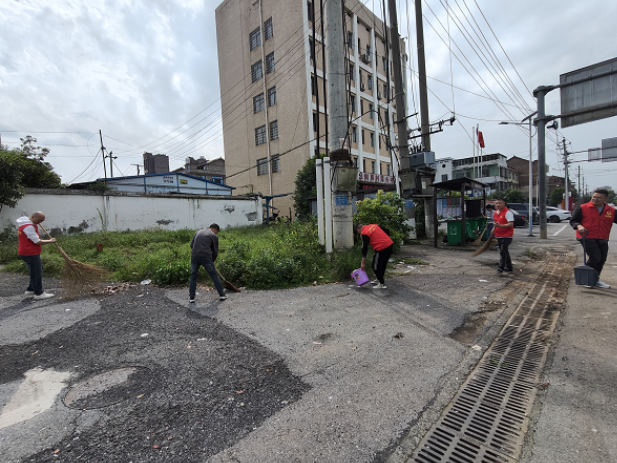 高崇山镇：党建引领聚合力 高崇山镇“爱国卫生日”擦亮文明底色
