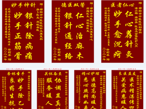 杏林春暖，妙手仁心显担当——邵阳市中医医院多学科联动谱写生命赞歌
