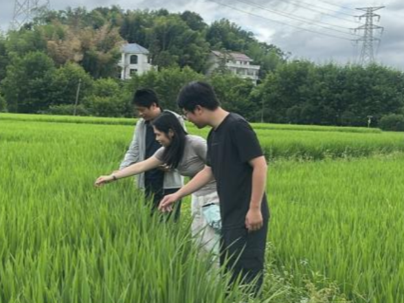 科技赋能精准普查，实地核查护航“三农”——邵阳市双清区统计局联合农业农村局开展农业普查存疑地块现场核实