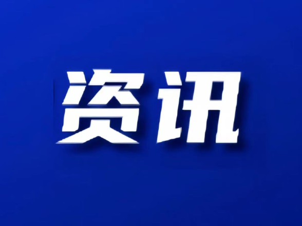 区委第二巡察组向区自然资源局党组 反馈巡察情况