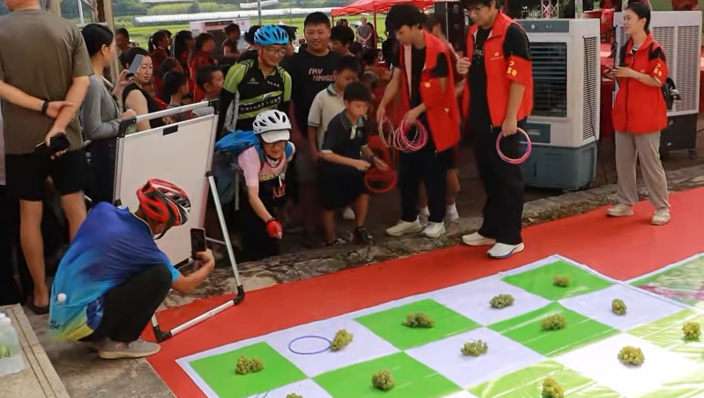 葡萄1.png 葡萄1.png