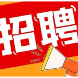 涟源市2022年事业单位高层次急需紧缺人才引进公告