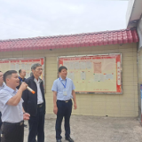 湖南省农村人居环境整治提升暨和美乡村建设片区观摩团莅临桥头河镇珠璜村现场观摩