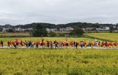 涟源：稻浪铺金“抬故事” 非遗焕彩庆丰收