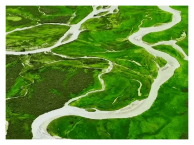 好评中国|为师减负松绑，让教育满帆前行