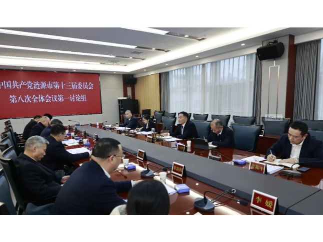 段晓赛参加市委十三届八次全会第一组讨论