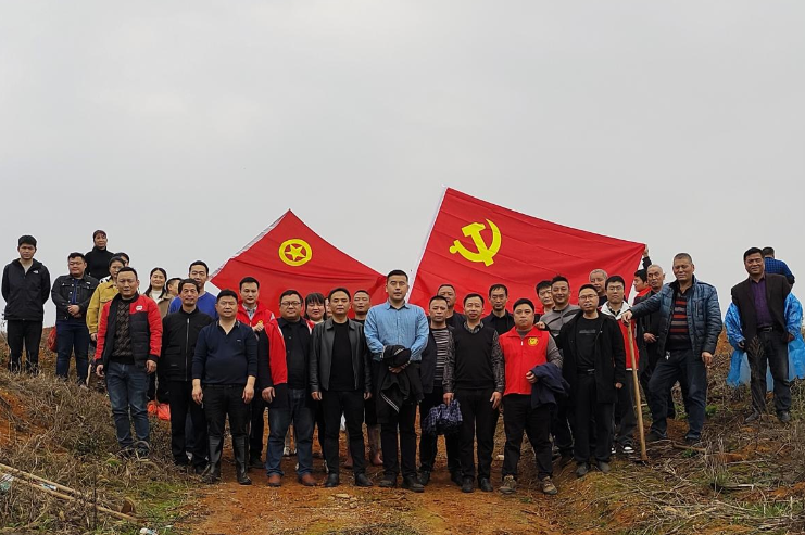 种植人文特色树，同走绿色发展路