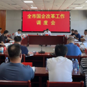 涟源市召开国企改革工作调度会
