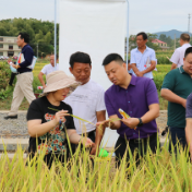 《奋进新征程 建功新时代.非凡十年》系列报道     全市农业农村工作绘就新画卷