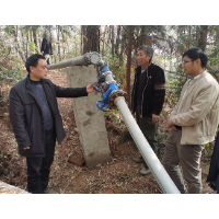 新光村：村民“众筹”打造立体“水系”