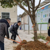 龙塘镇联合开展义务植树活动
