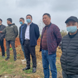市领导深入乡镇开展关闭退出采石场生态修复工程“回头看”