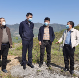 邓伟谋调研“湘中黑牛”产业发展