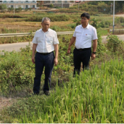 刘杰督查抗旱和森林防火工作